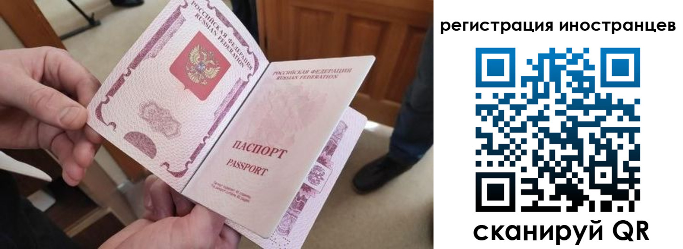 прописка ребенка в Ростовской области